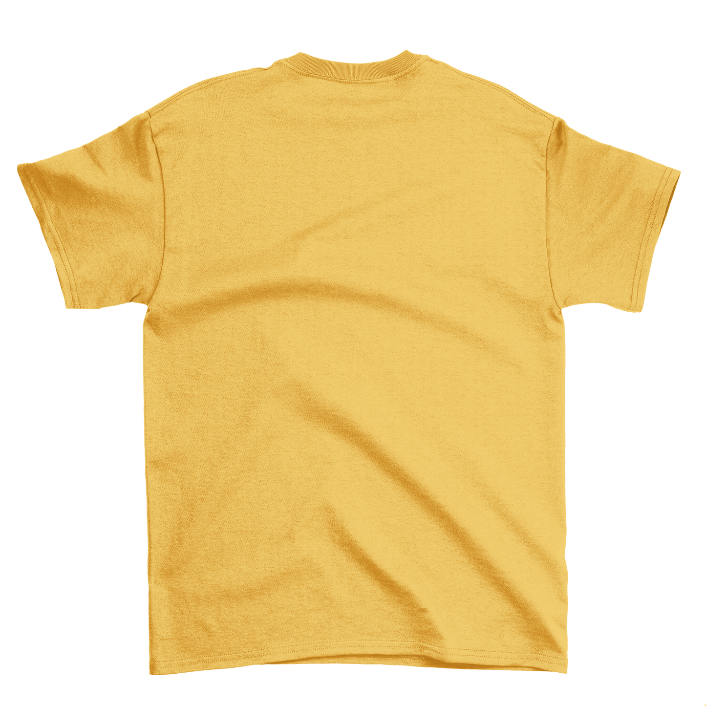 this is my trick or treating shirt