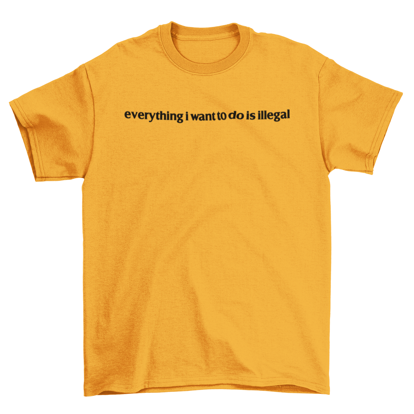 everything i want to do is illegal